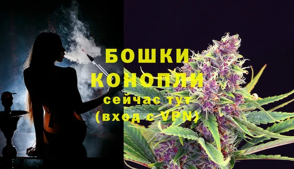 ECSTASY Балахна