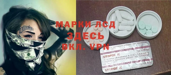 стаф Баксан