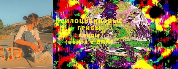 стаф Баксан